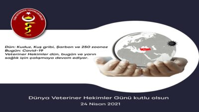 Şanlıurfa Veteriner Hekimleri Odası Başkanı Abdullah Açıkgöz `den Dünya Veteriner Hekimler Günü Mesajı