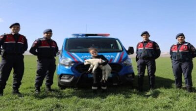 Cumhuriyetin Kuzuları, Cumhuriyetin Jandarmasına Emanet