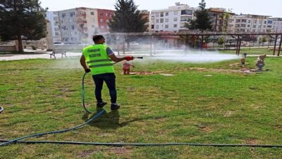 Havalar Isındı Haşerelerle Mücadele Başladı