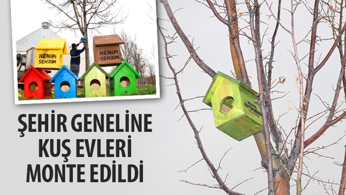 Şehir Geneline Kuş Evleri Monte Edildi