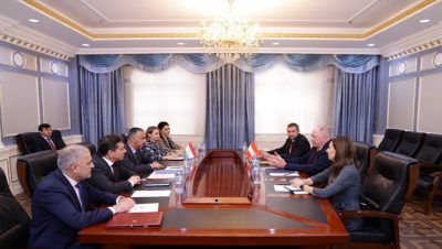 Meeting of the First Deputy Minister with the Ambassador of Austria